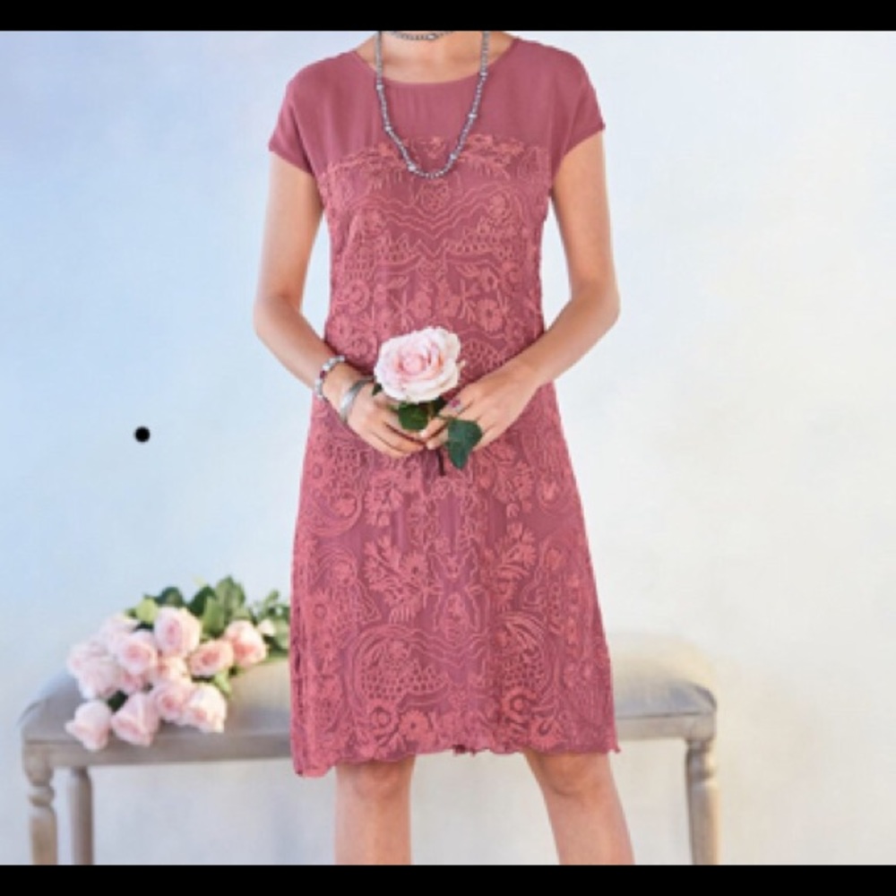 Embroidered rose dress. New from Sundance